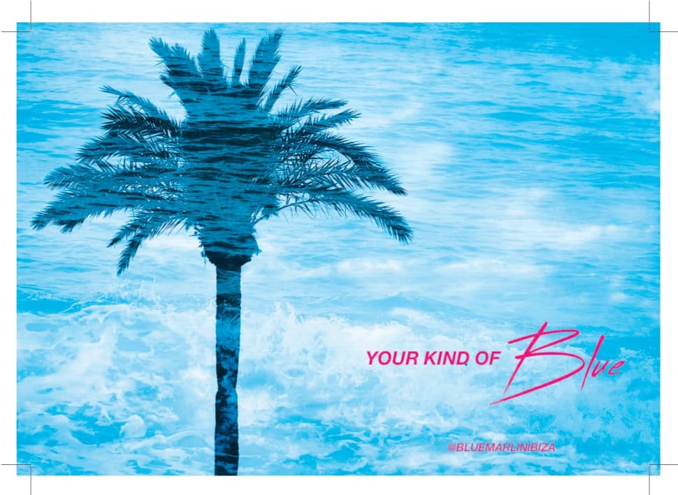 Blue-Marlin-Palmera-min